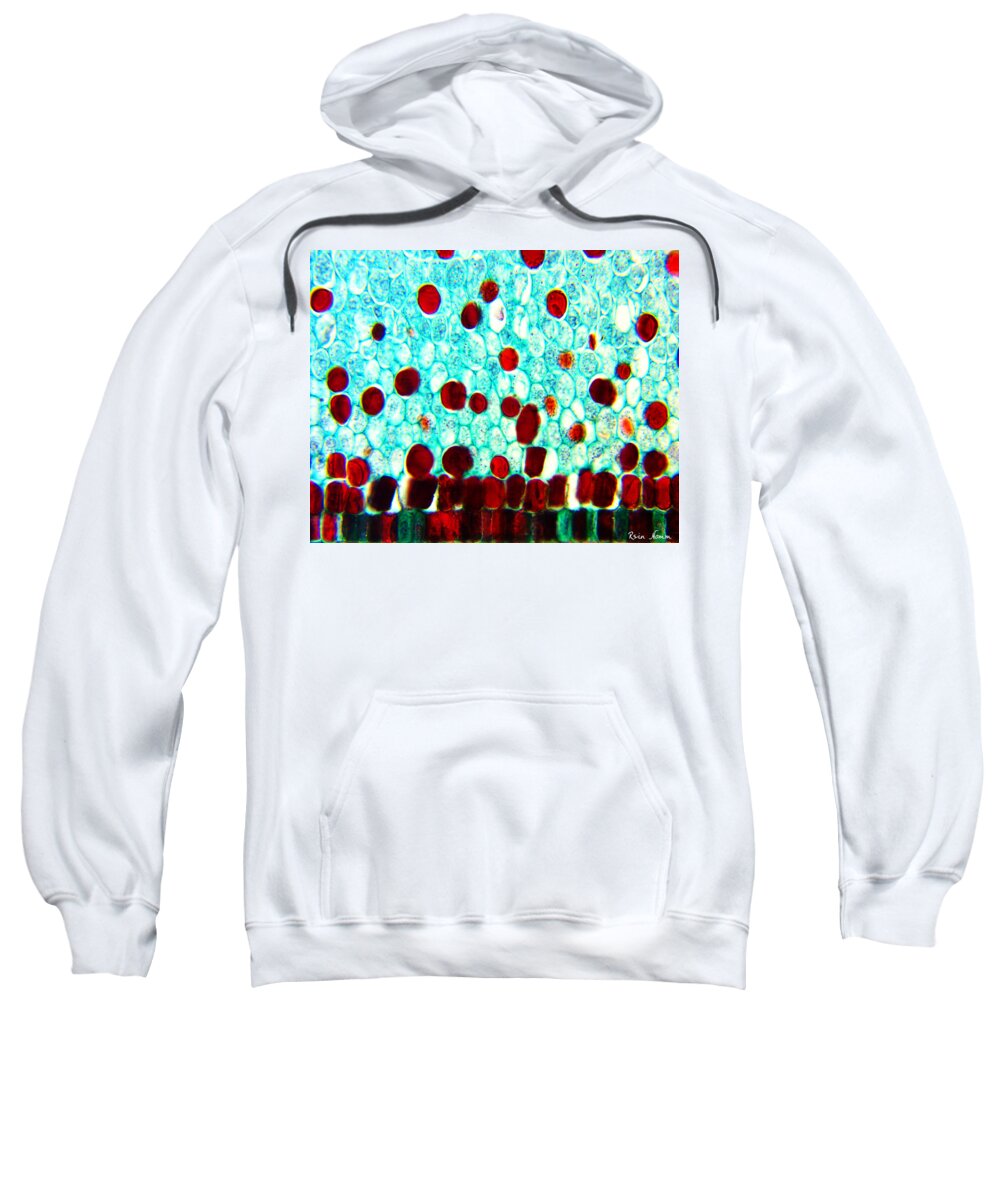 Microscopic Abstract Sweatshirt featuring the photograph Floating Away by Rein Nomm