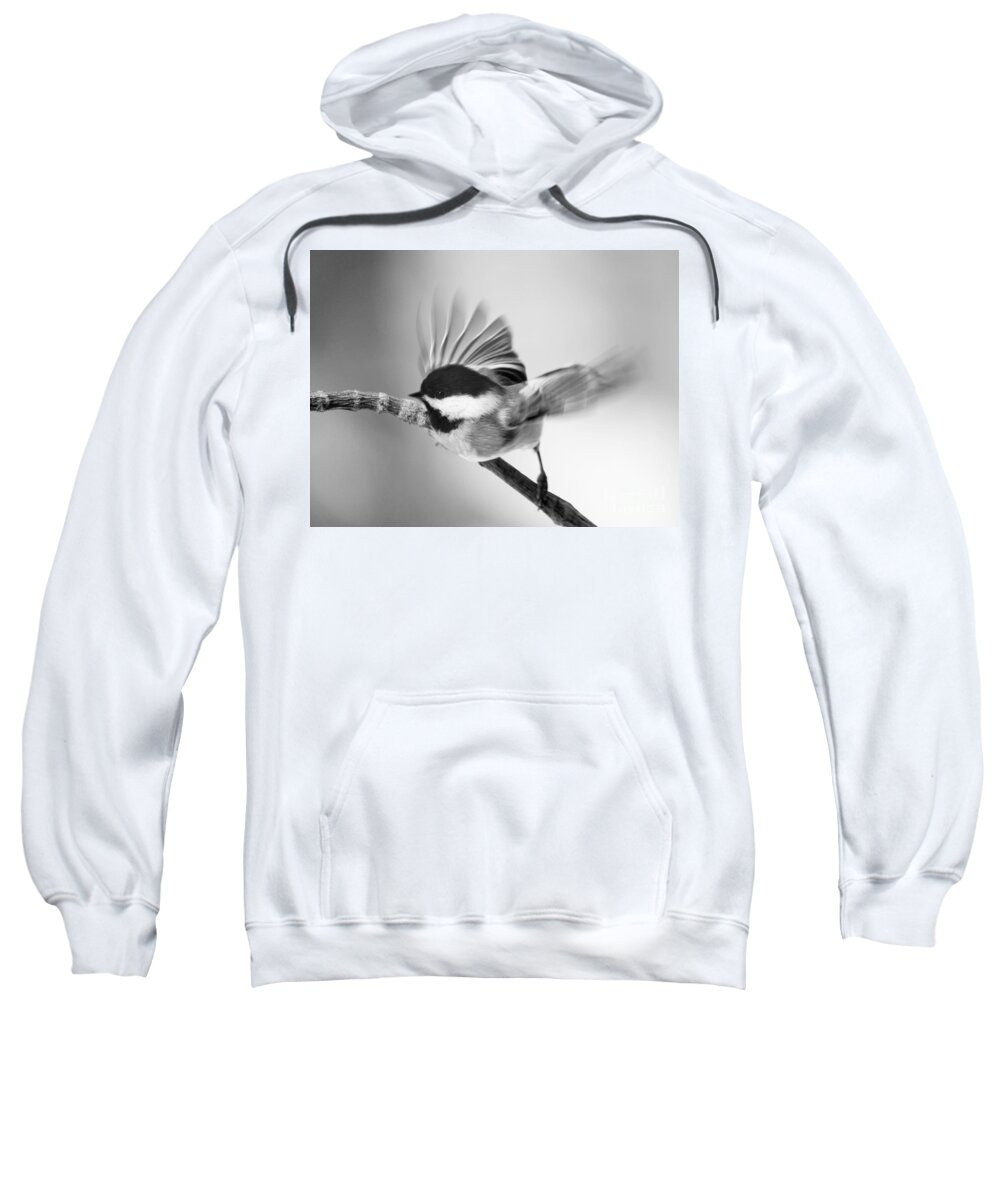 Bird Sweatshirt featuring the photograph Flutter Of A Chickadee's Wing by Dorothy Lee