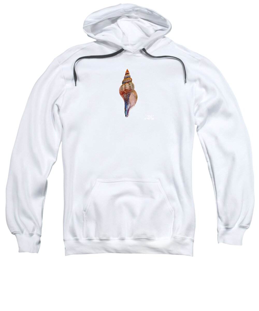 Conch Shell Painting Sweatshirt featuring the painting Fox Shell by Amy Kirkpatrick