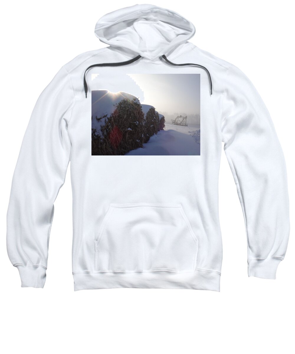 Snow Sweatshirt featuring the photograph Freezing Fog by Brooke Bowdren