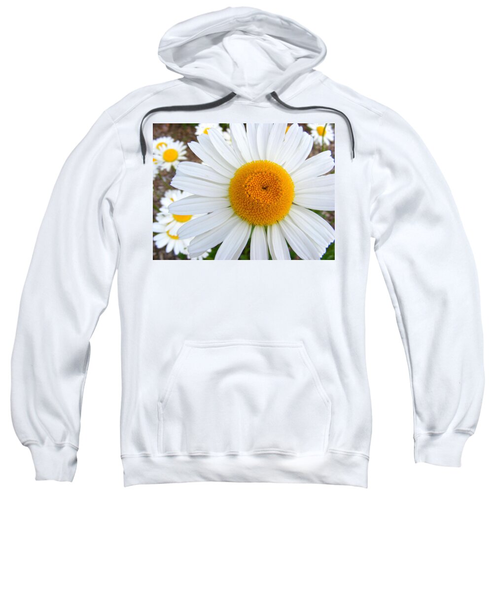 Flower Sweatshirt featuring the photograph Fried Eggs by Edward Smith