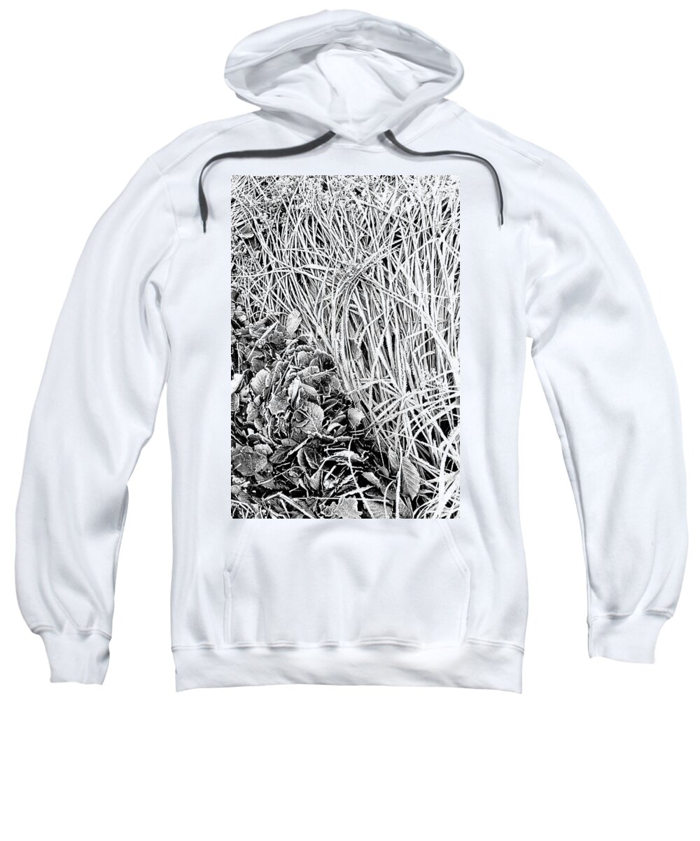  Sweatshirt featuring the digital art Frosted by Julian Perry