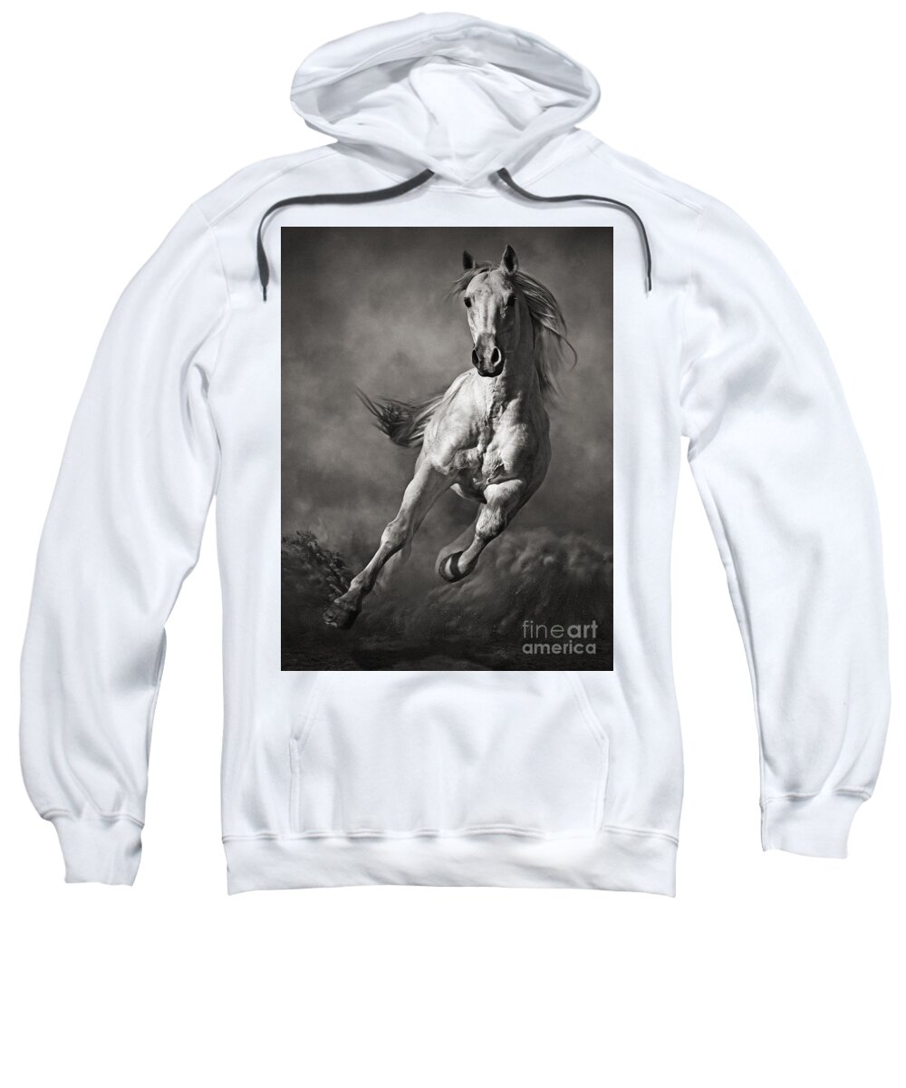Horse Sweatshirt featuring the photograph Galloping White Horse in Dust by Dimitar Hristov
