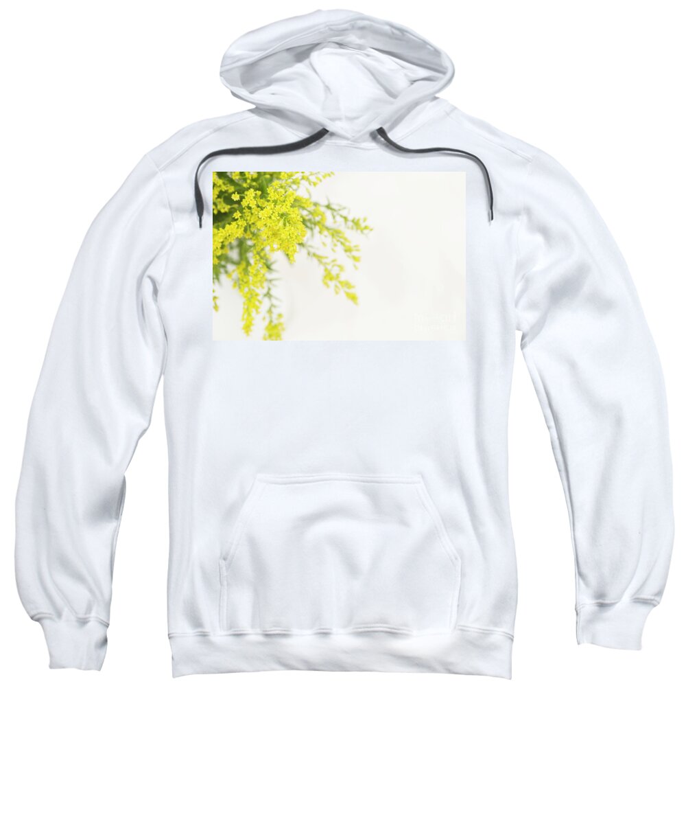 Goldenrod Sweatshirt featuring the photograph Goldenrod by Anne Gilbert