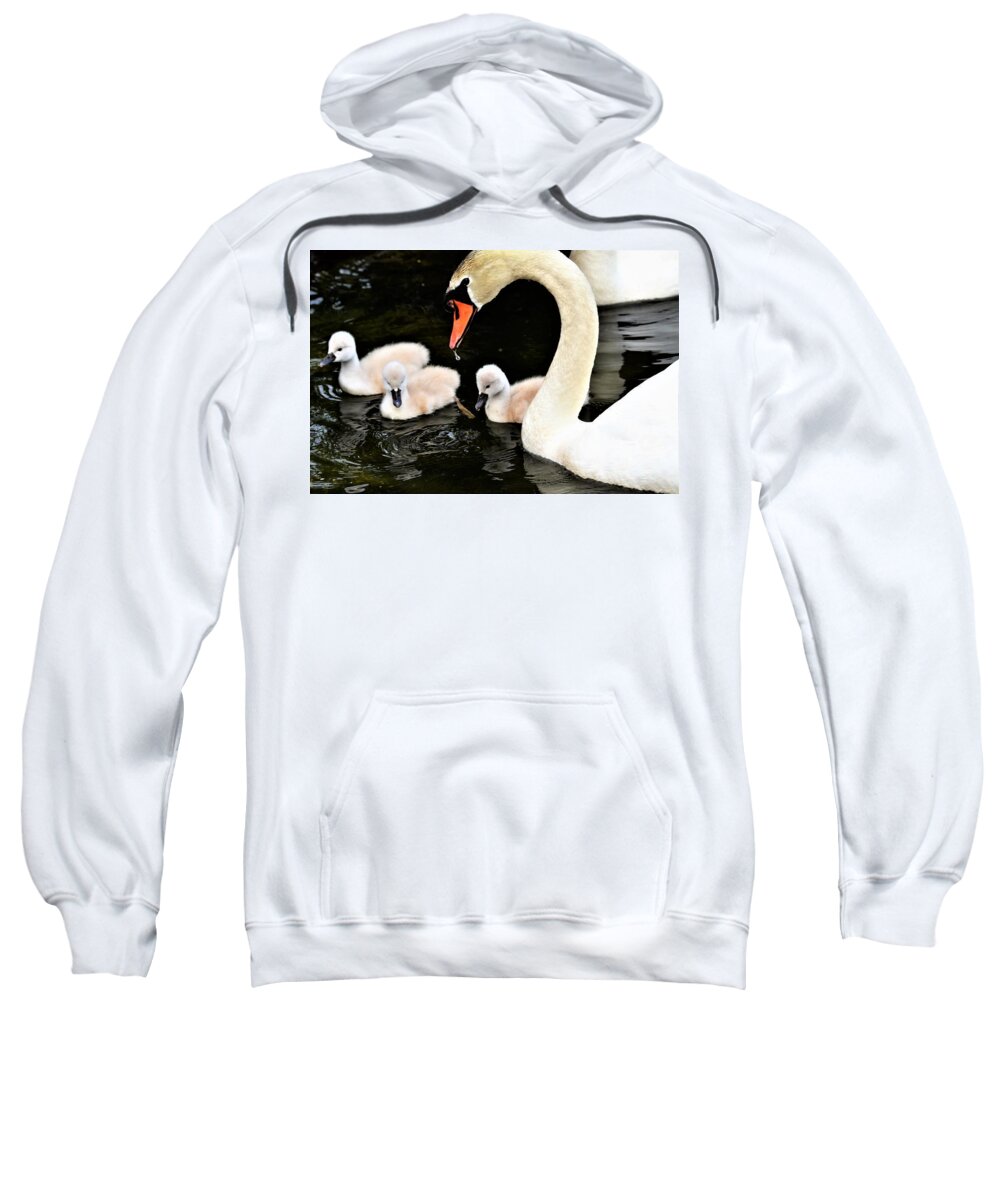 Swans Sweatshirt featuring the photograph Good parenting by Chuck Brown