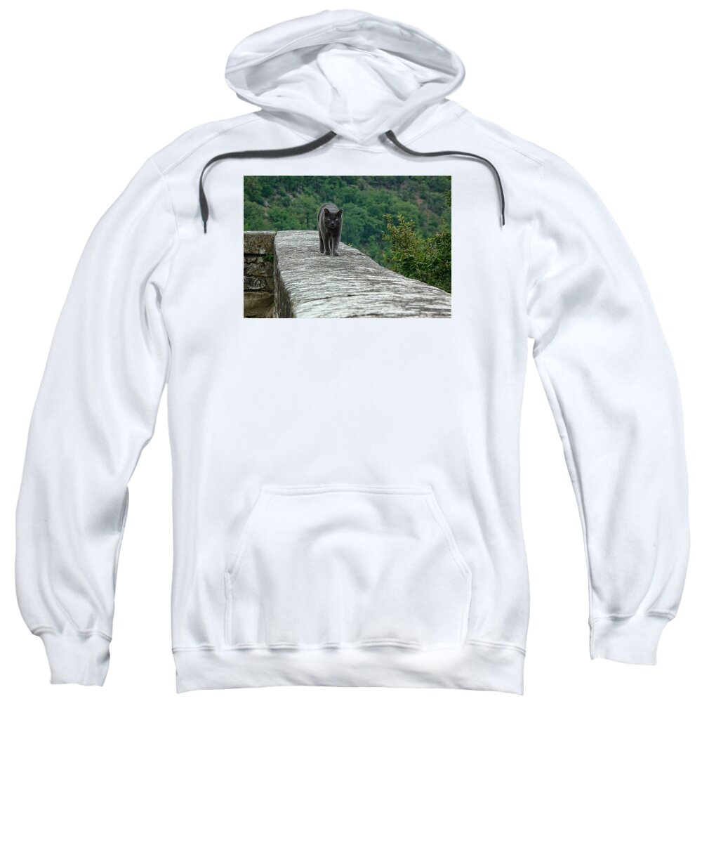 Gray Cat Sweatshirt featuring the photograph Gray Cat Prowling by Gary Karlsen