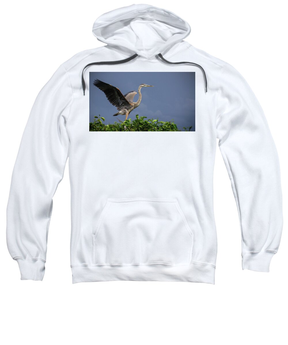 Florida Sweatshirt featuring the photograph Great Blue Heron Delray Beach Florida by Lawrence S Richardson Jr