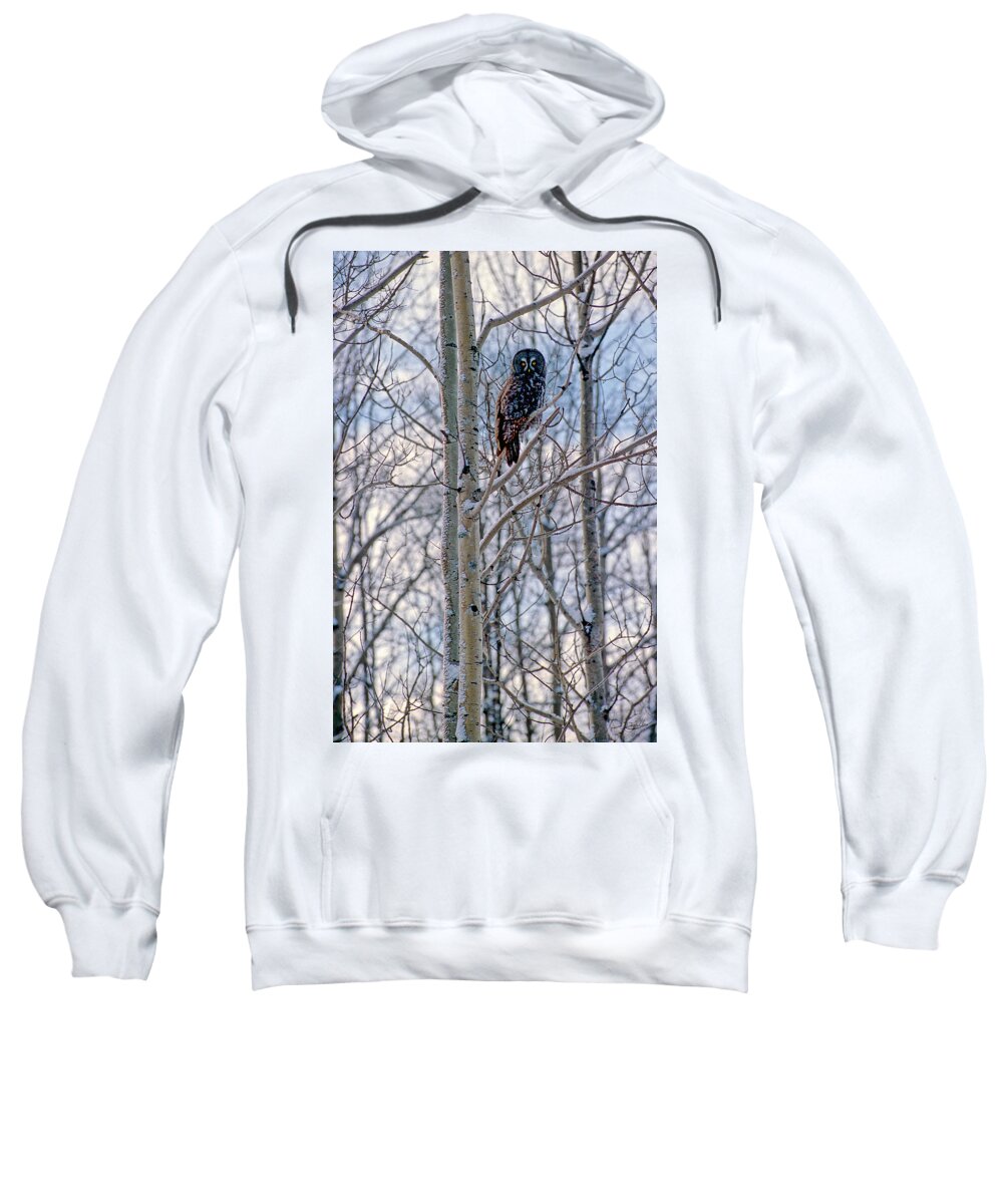 Canada Sweatshirt featuring the photograph Great Grey Owl by Doug Gibbons