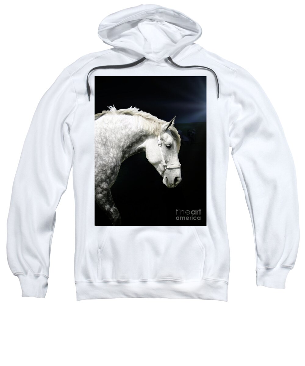Grey Sweatshirt featuring the photograph Grey Percheron Beauty II by Al Bourassa