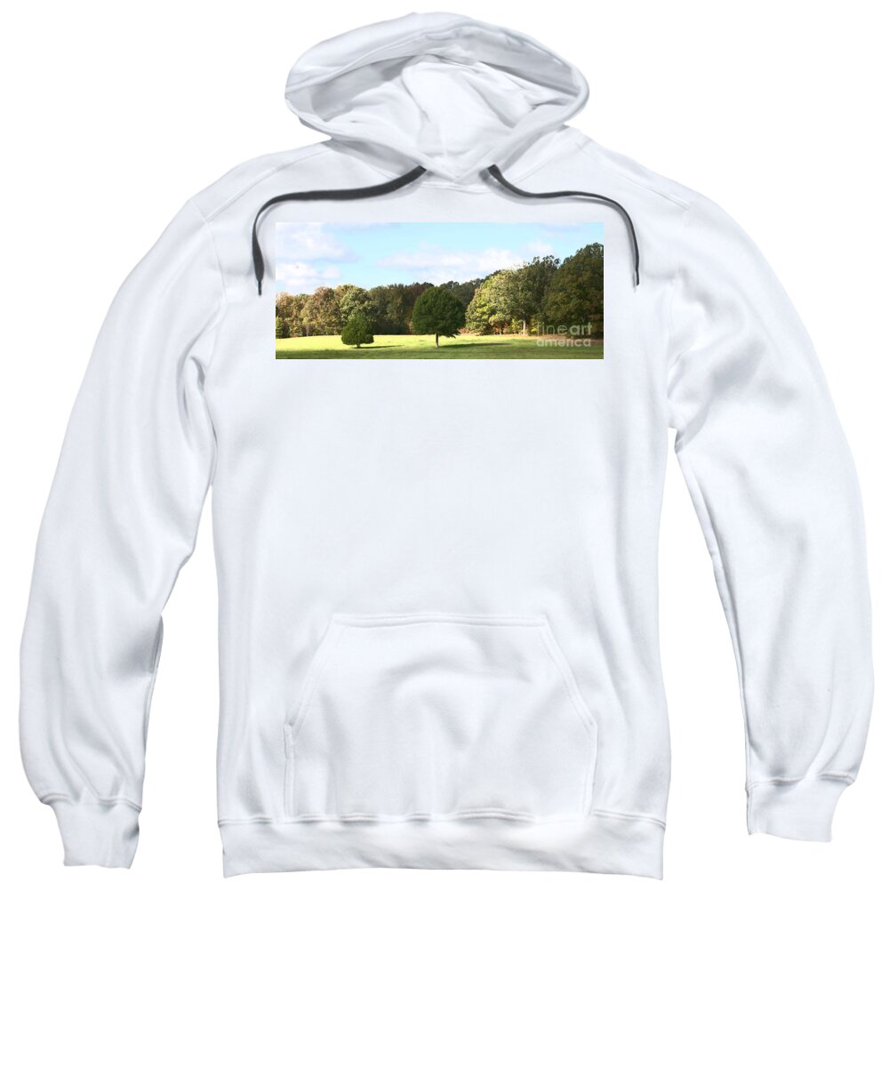 Tree Sweatshirt featuring the photograph Growing up by Amanda Barcon