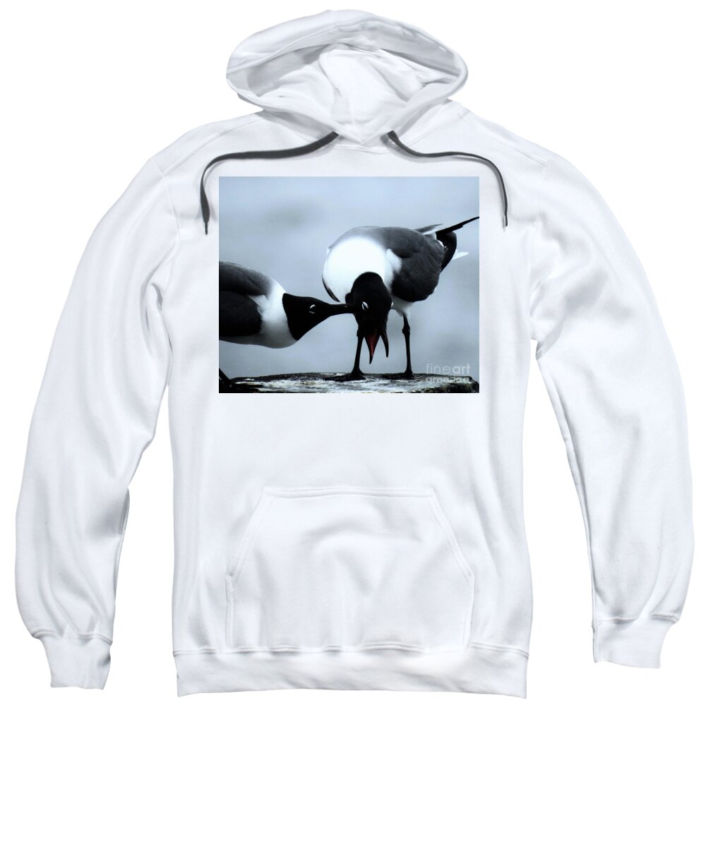 Gulls Sweatshirt featuring the photograph Gull Pecked by Jan Gelders