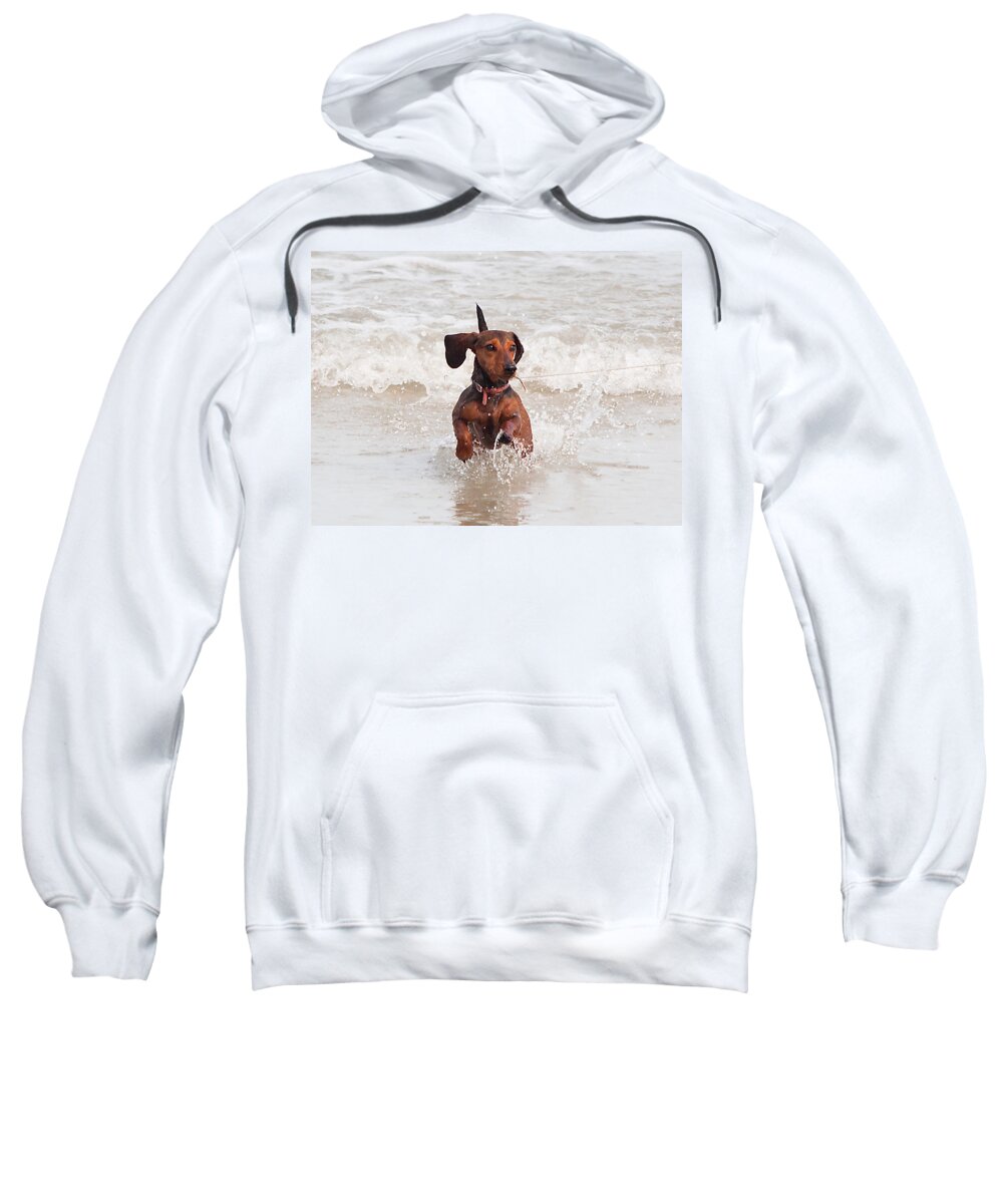 Scenery Sweatshirt featuring the photograph Happy Surf Dog by Kenneth Albin