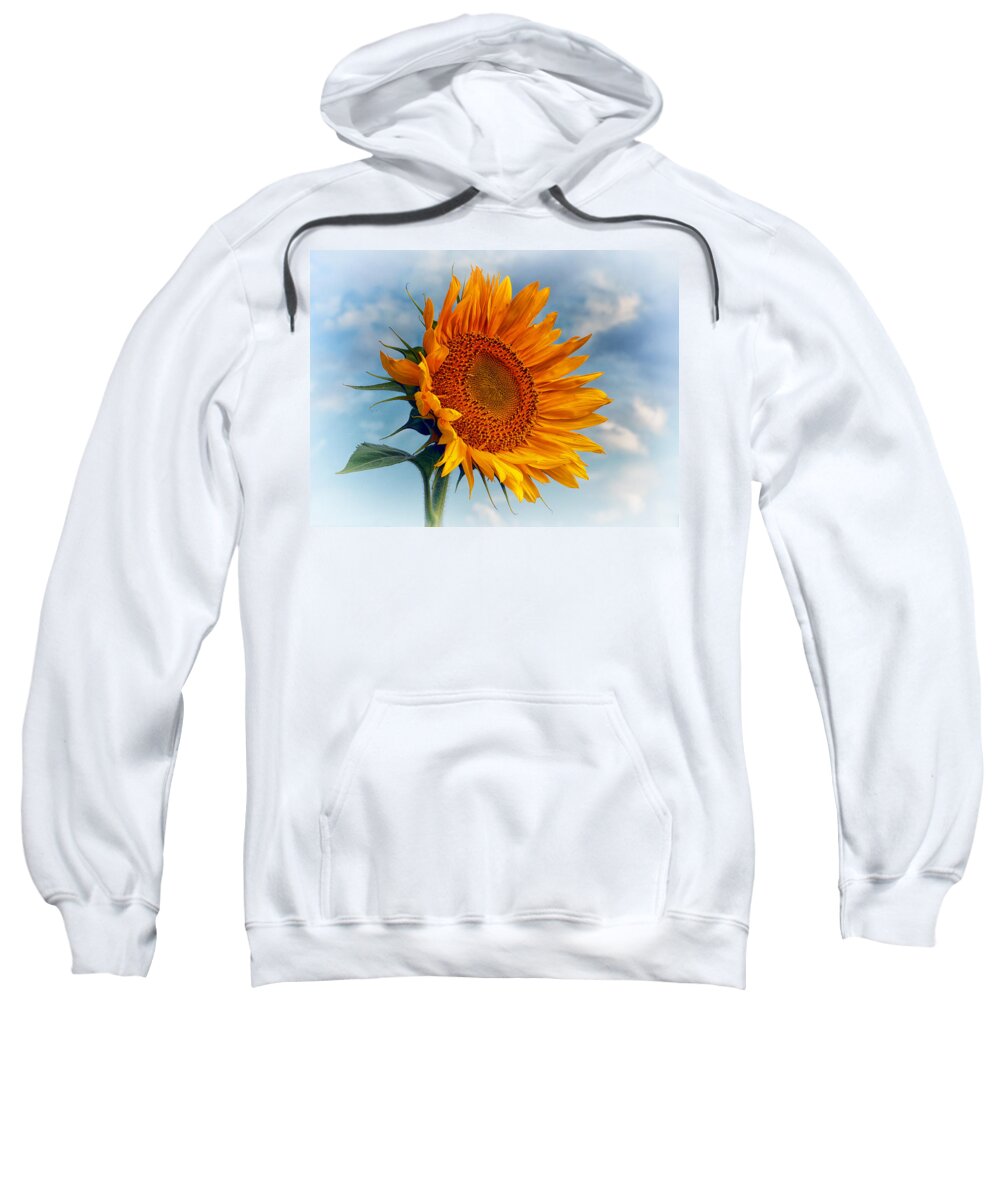 Sunflower Sweatshirt featuring the photograph Helianthus annuus Greeting the Sun by Bill Swartwout