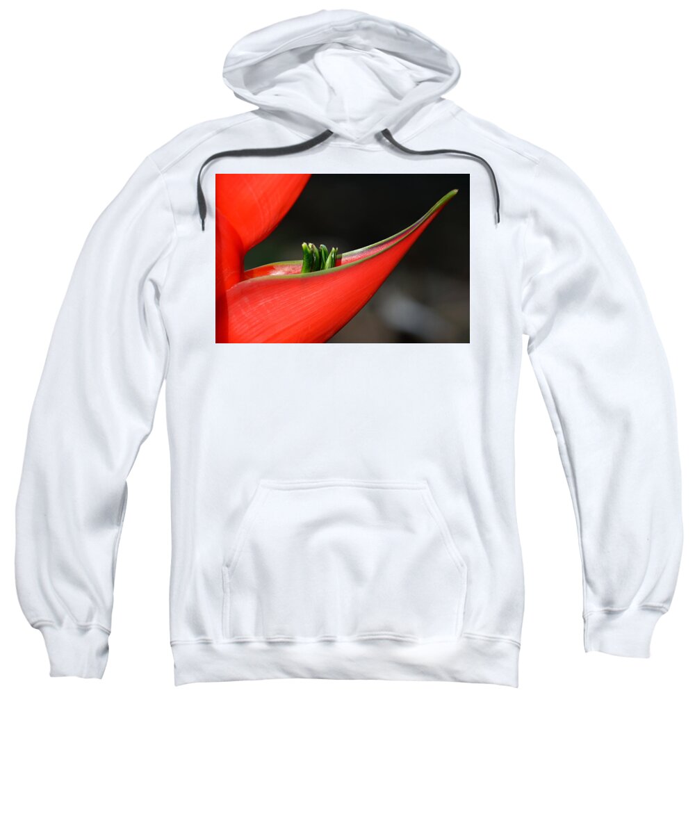 Flower Sweatshirt featuring the photograph Heliconia Flower Petal by Lorenzo Cassina