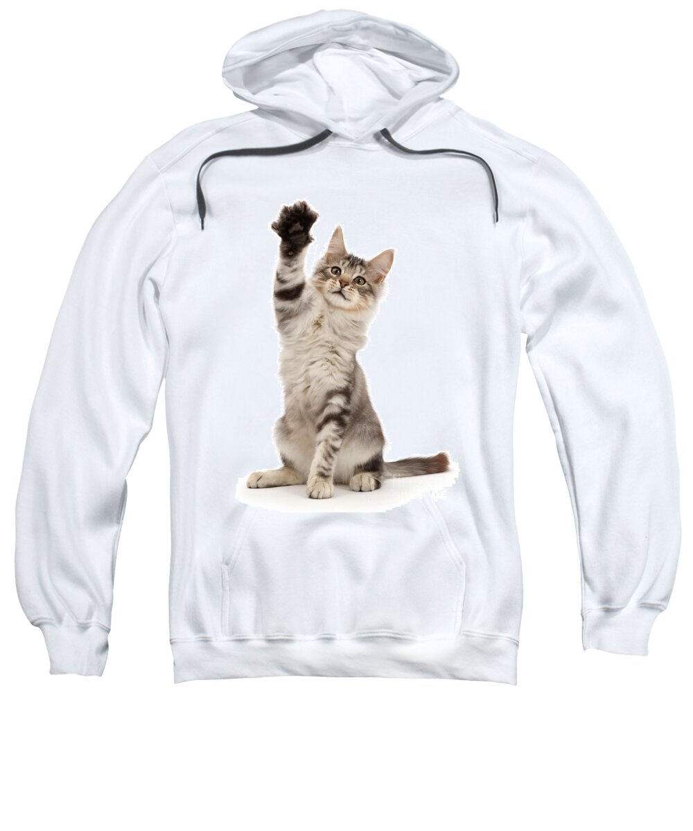 Silver Sweatshirt featuring the photograph Hi Guys by Warren Photographic