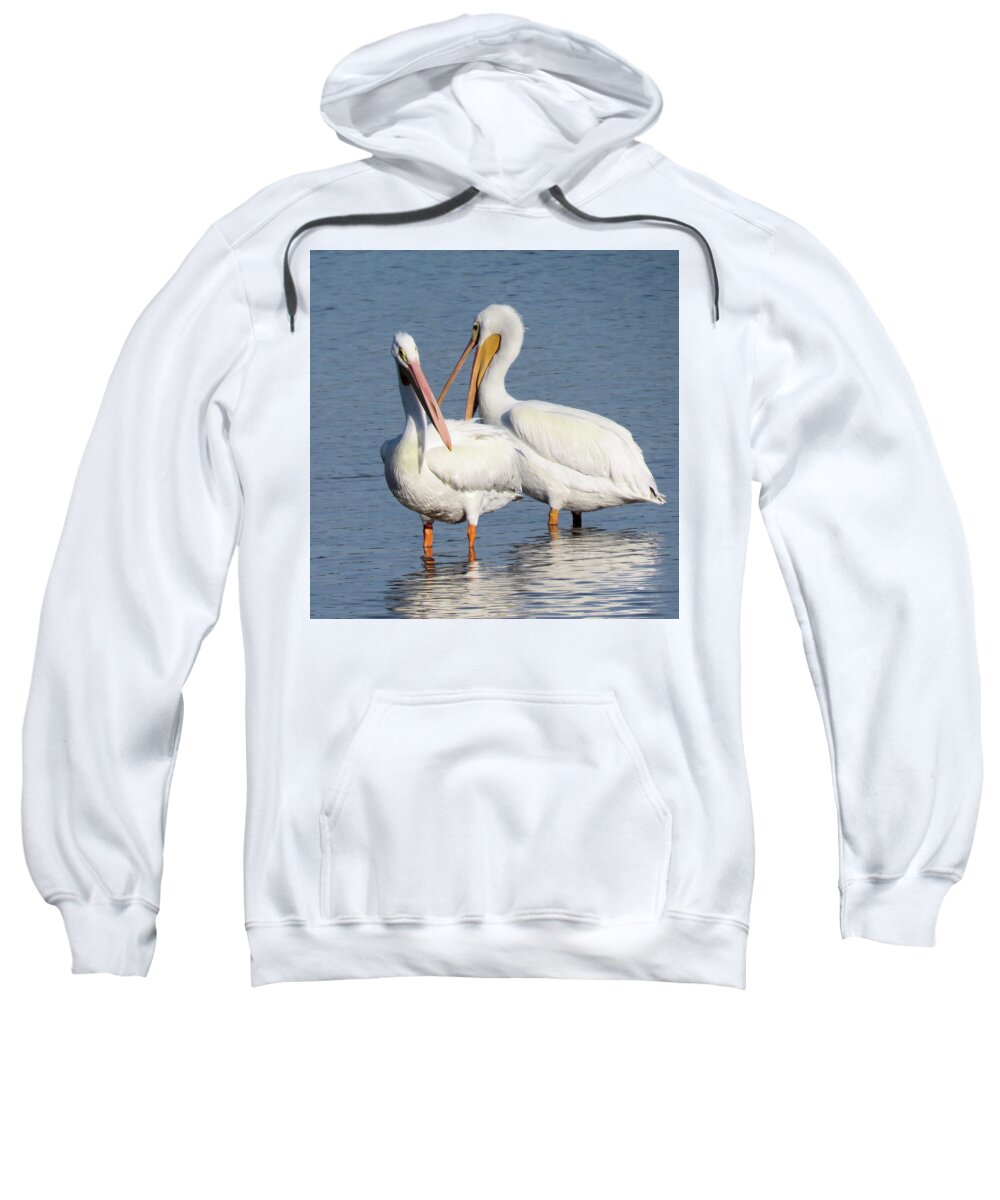 Pelican Sweatshirt featuring the photograph How About a Date Gorgeous? by Rosalie Scanlon
