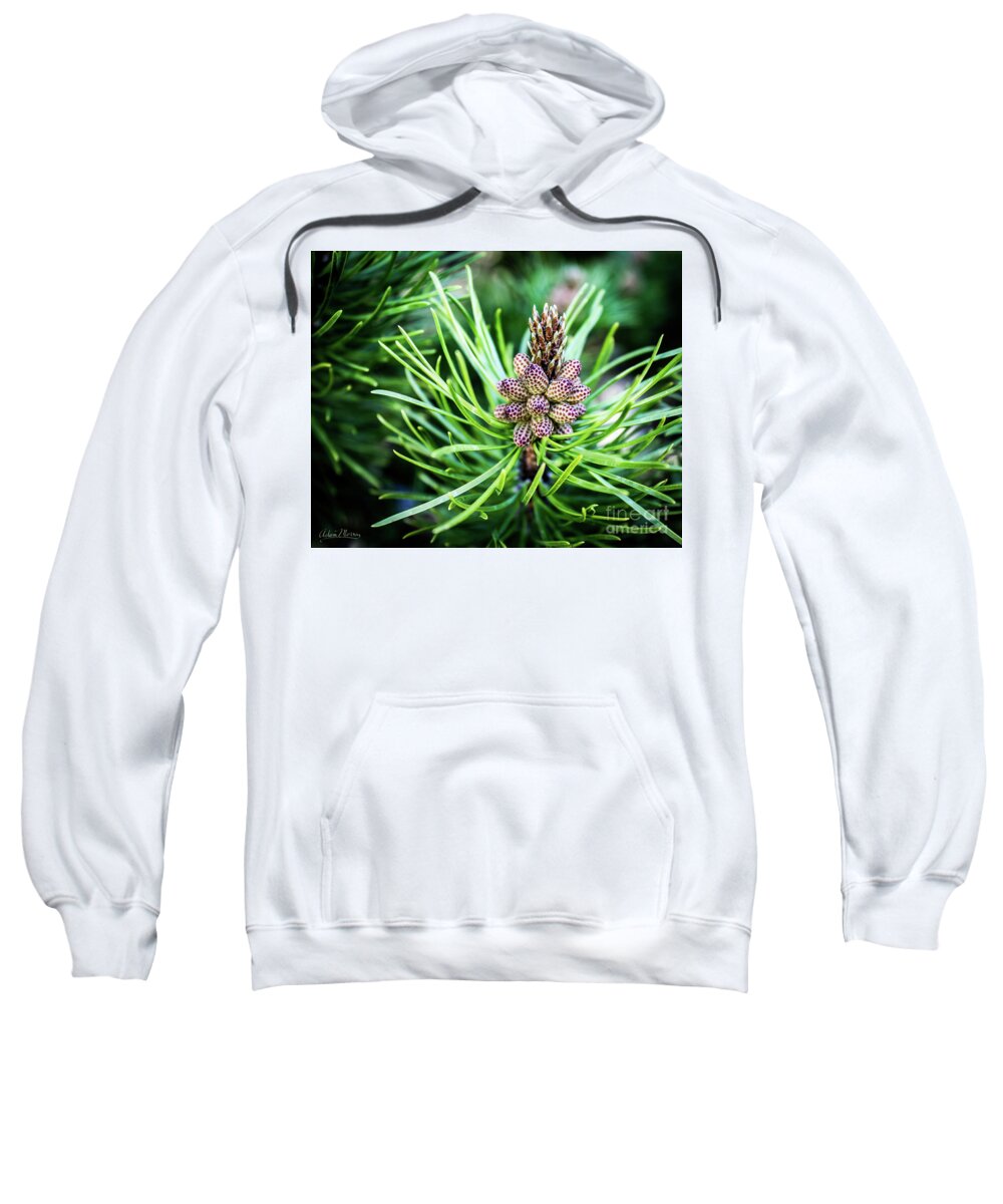 Flora Sweatshirt featuring the photograph Humble Beginnings by Adam Morsa