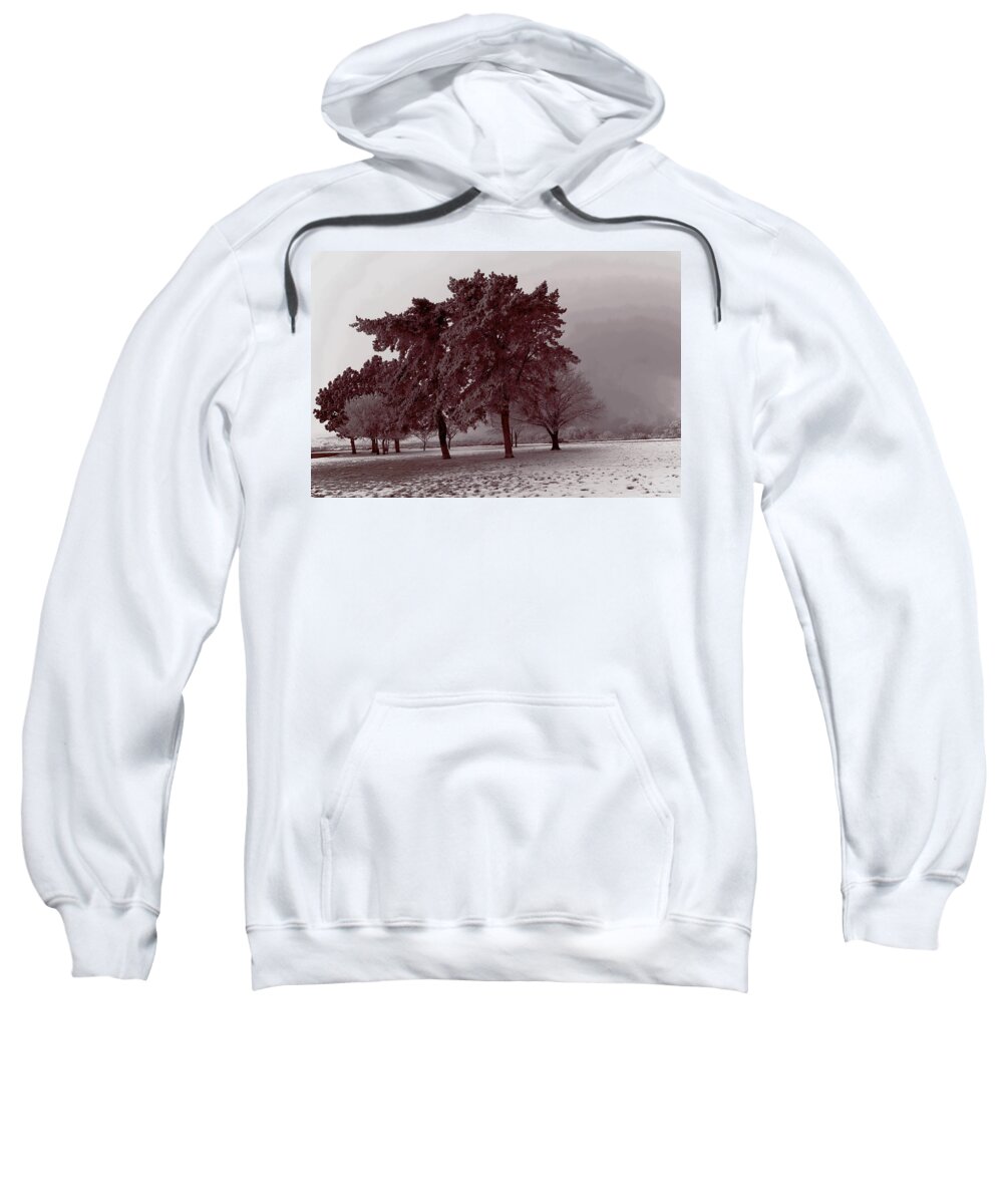 Tree Sweatshirt featuring the photograph Ice Storm by Jeff Swan
