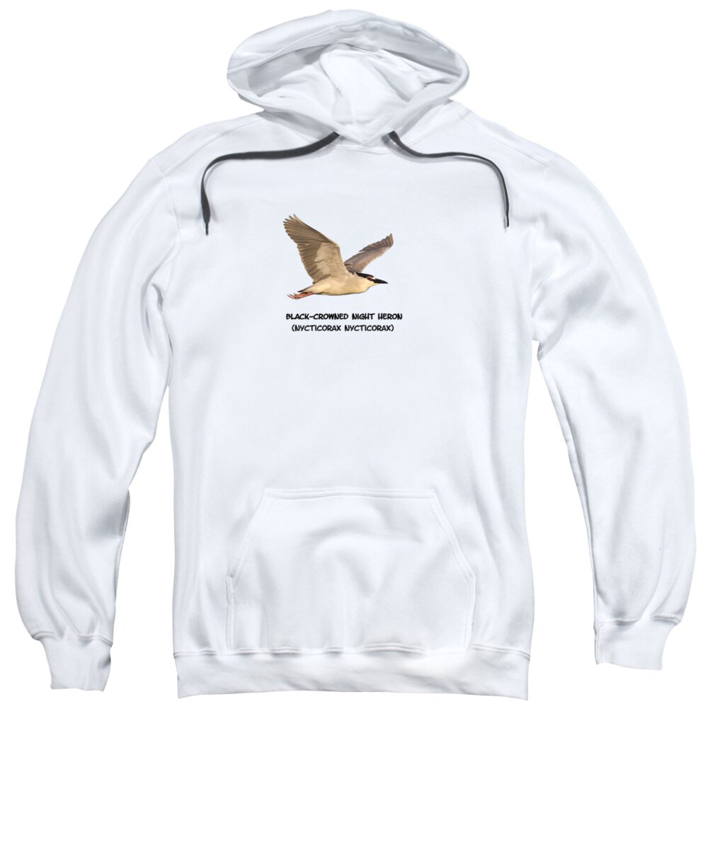 Black-crowned Night Heron Sweatshirt featuring the photograph Isolated Black-crowned Night Heron 2017-6 by Thomas Young