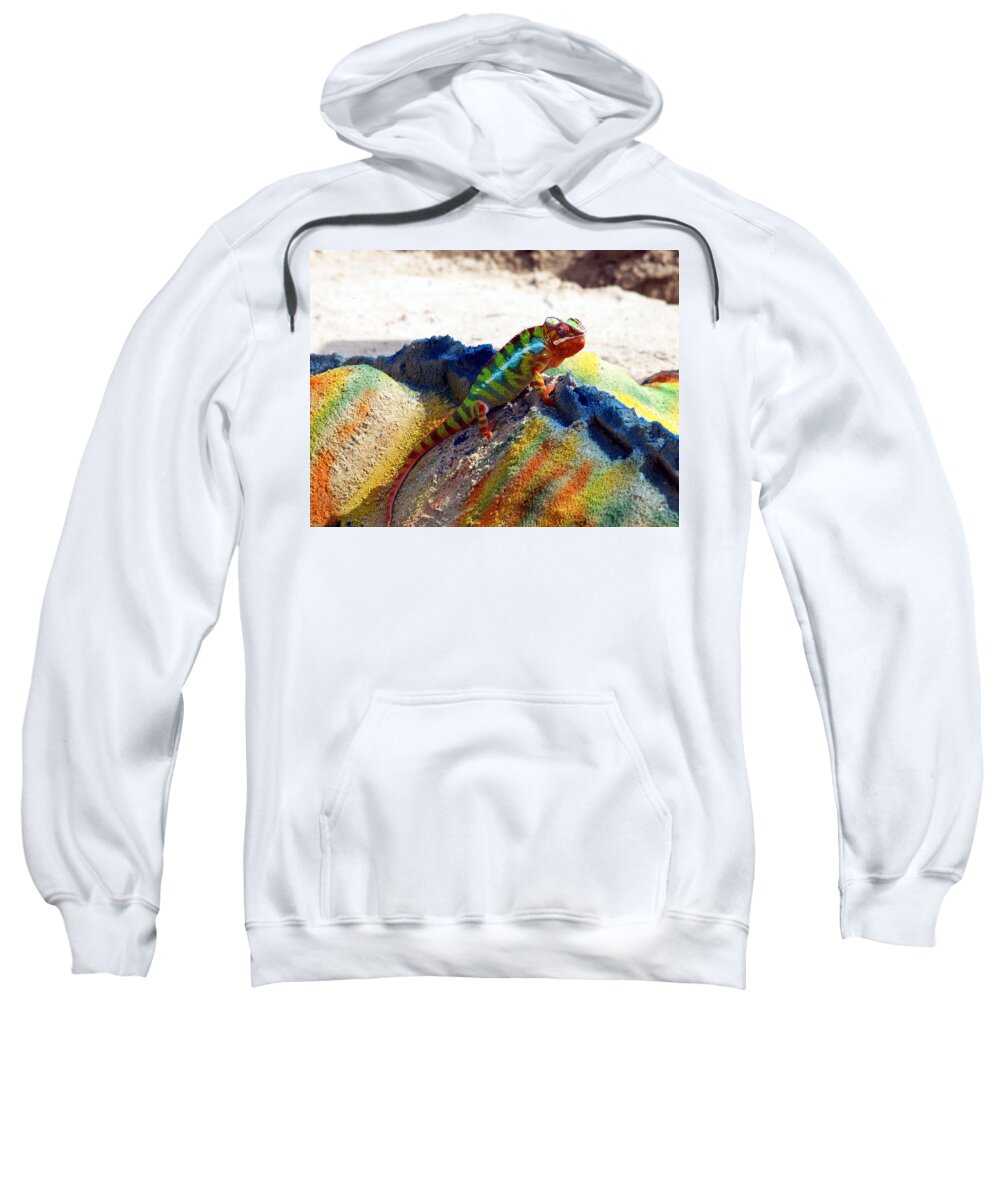 Beach Sweatshirt featuring the photograph Karma Kameleon by Bruce Gannon