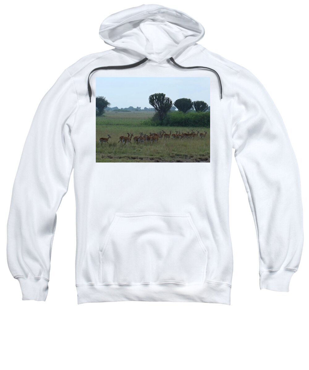 Exploramum Sweatshirt featuring the photograph Uganda wildlife before QENP - morning run by Exploramum Exploramum