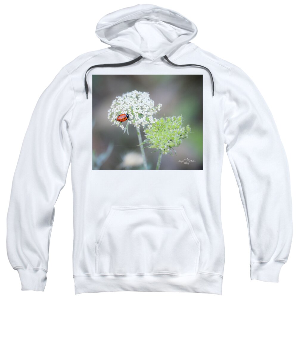 Ladybug Sweatshirt featuring the photograph Lady on the Lace II by Steph Gabler