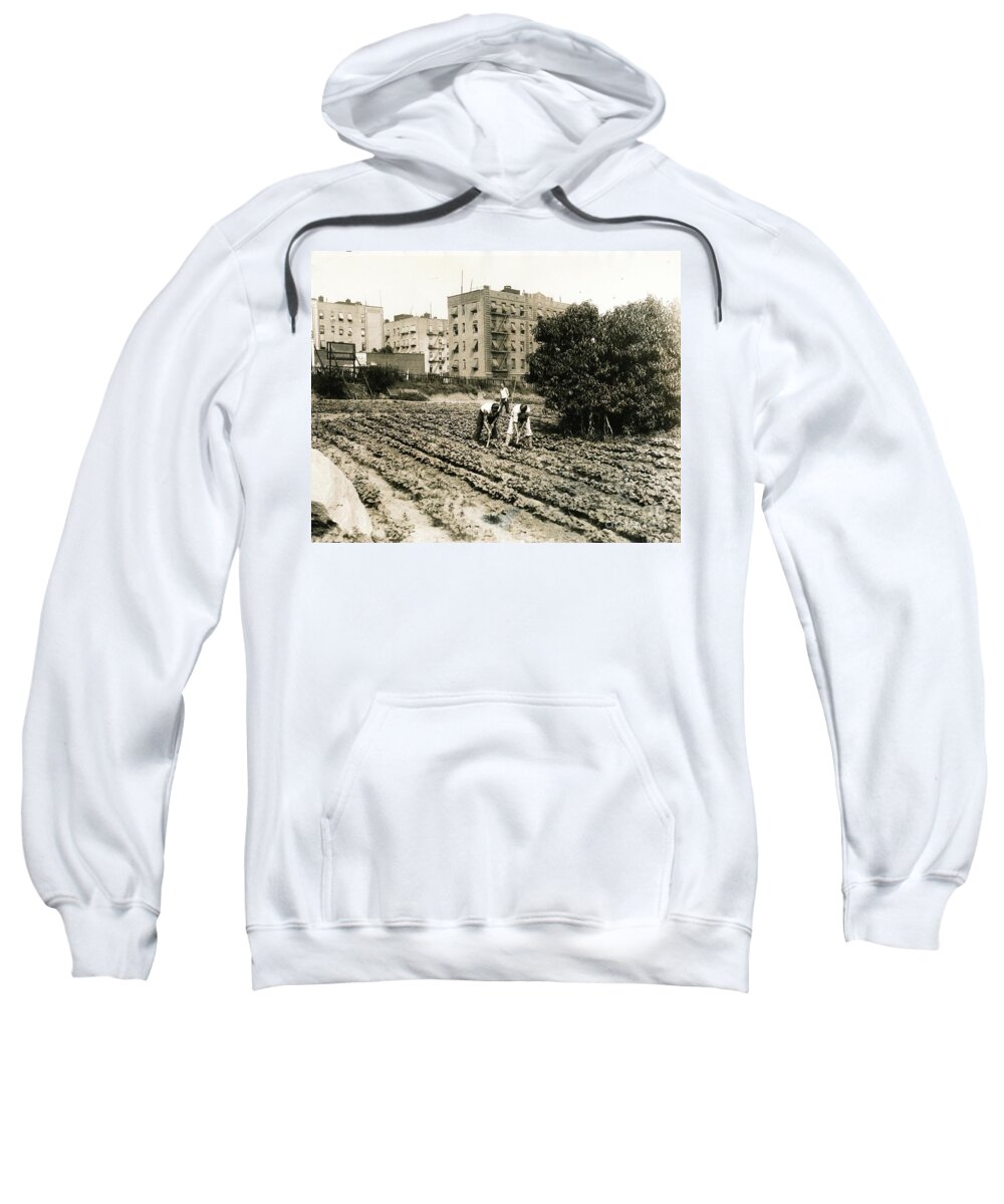 Farming Sweatshirt featuring the photograph Last Working Farm in Manhattan by Cole Thompson