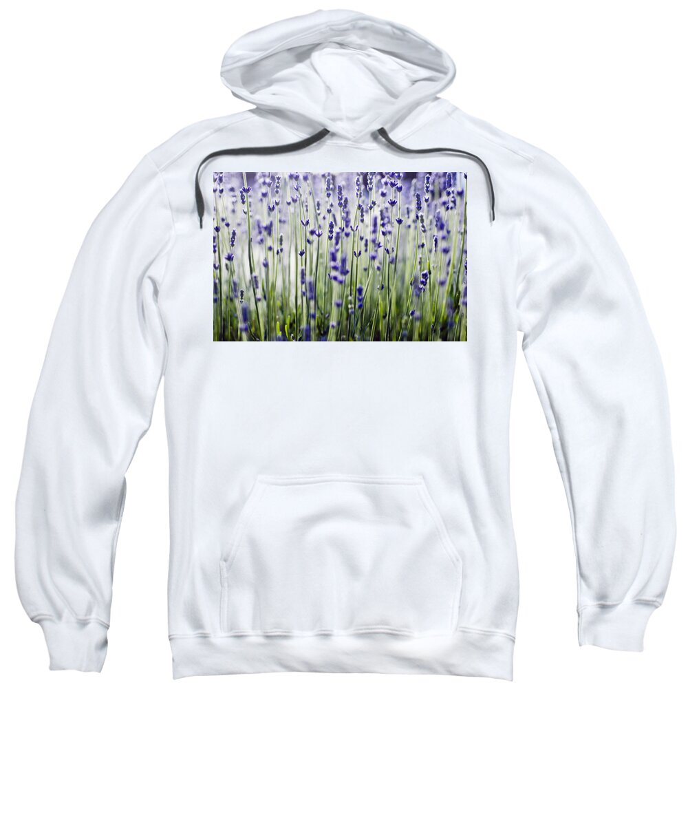 Abstract Sweatshirt featuring the photograph Lavender Patterns by Ray Laskowitz - Printscapes