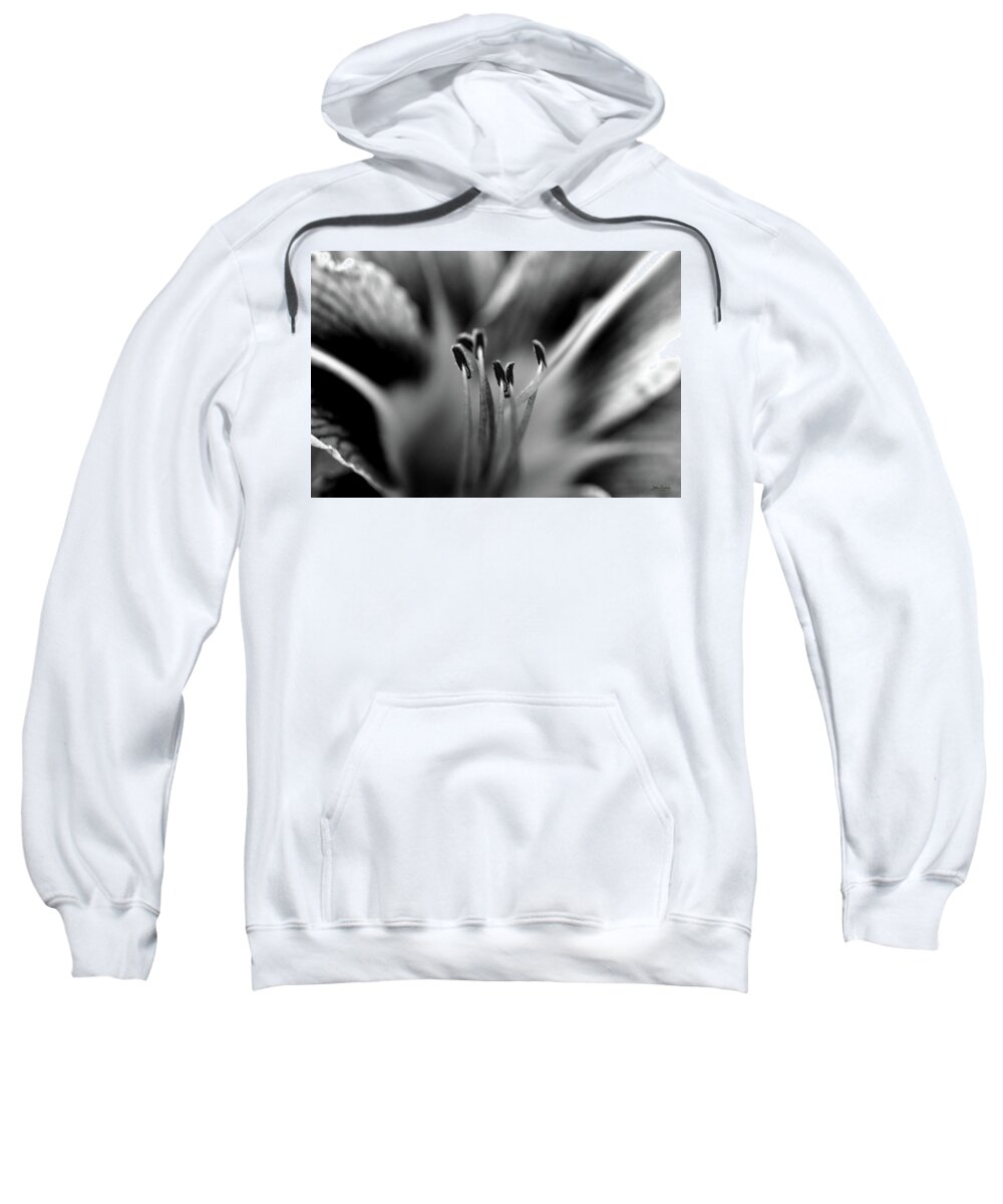 Black And White Sweatshirt featuring the digital art Lily Macro by Andrea Lawrence
