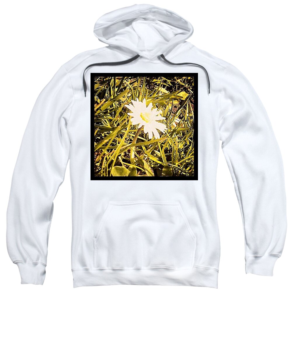 Lonely Daisy Sweatshirt featuring the photograph Lonely dasiy by Charlotte Hands