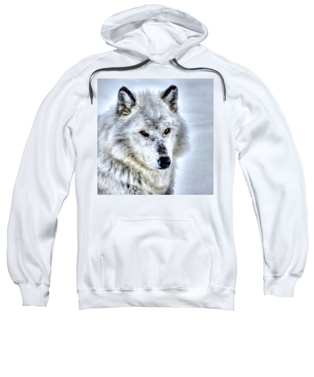 Wolf Sweatshirt featuring the photograph Looking Pretty by Don Mercer