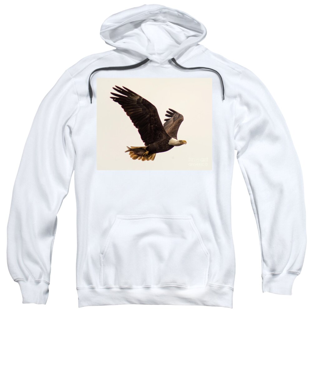 Bald Eagle Sweatshirt featuring the photograph Lunch to Go by Jane Axman