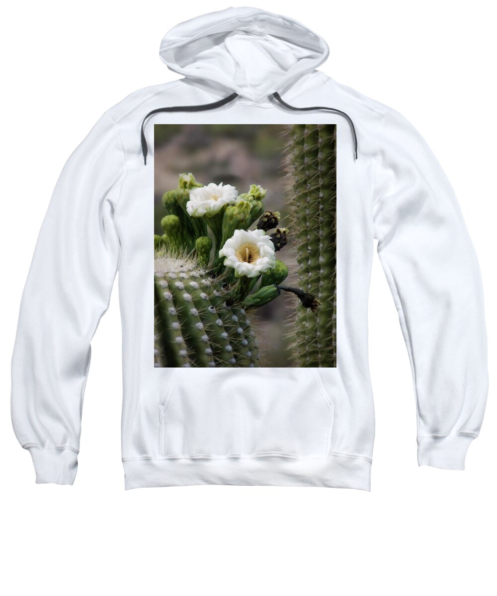 Arizona Sweatshirt featuring the photograph Magnificant Bloom of the Saguaro by Lucinda Walter