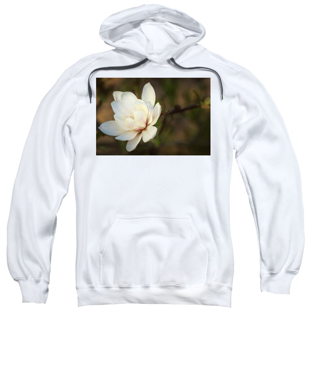 Illinois Sweatshirt featuring the photograph Magnolia in Evening Sun by Joni Eskridge
