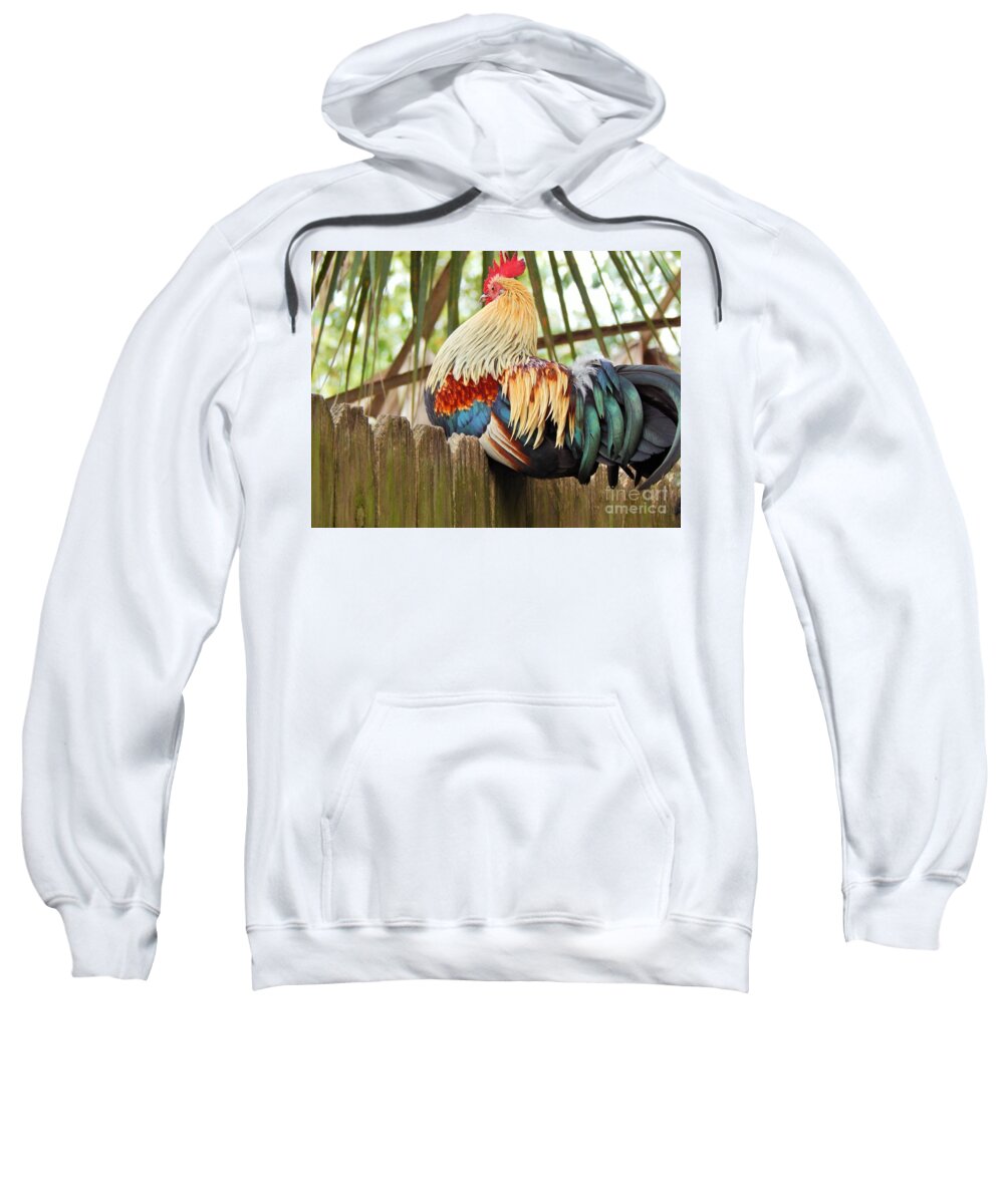 Rooster Sweatshirt featuring the photograph Majestic by Jan Gelders