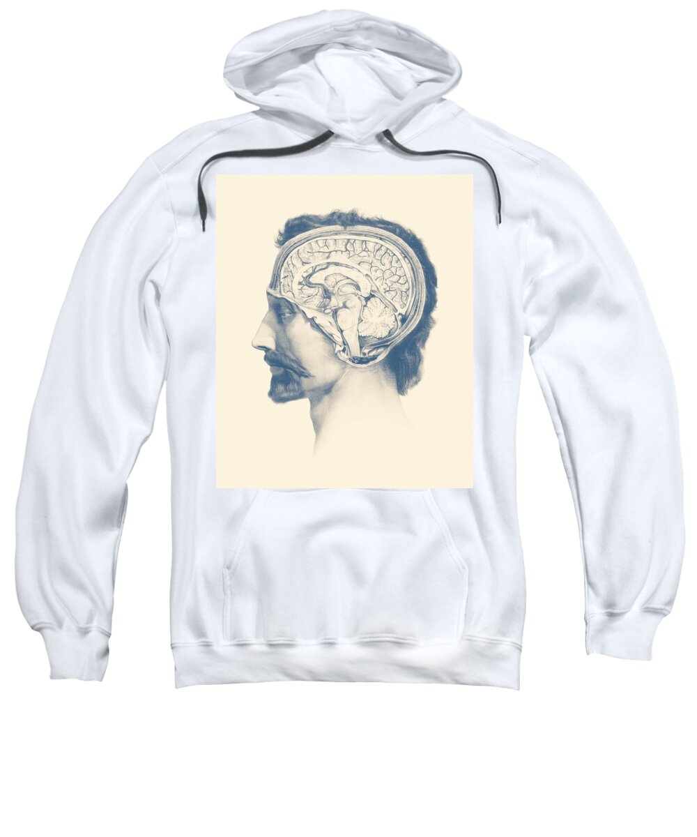 Thalamus Sweatshirt featuring the mixed media Male Brain Anatomy - Side View by Vintage Anatomy Prints
