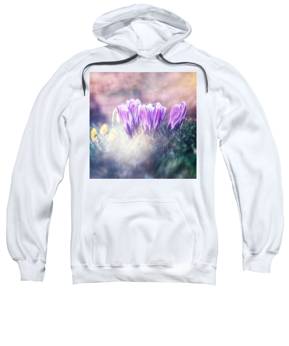 Spring Sweatshirt featuring the photograph March of the spring soldiers by Jaroslav Buna