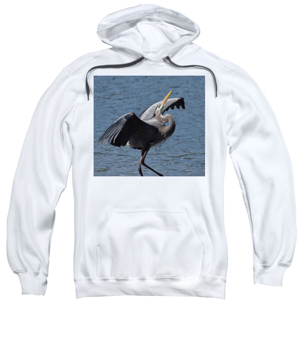 Heron Sweatshirt featuring the photograph Mating Dance by Jim Bennight
