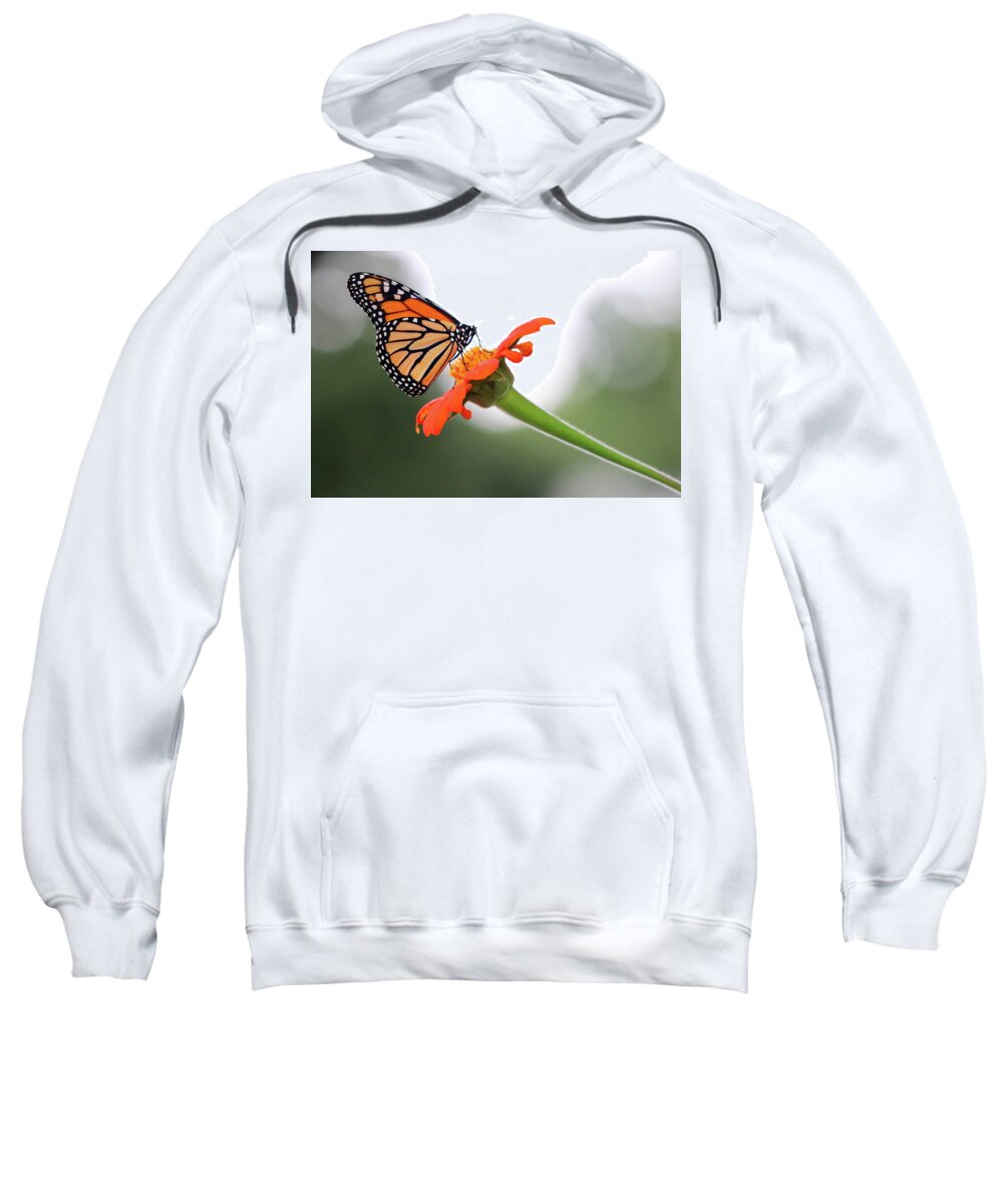 Butterfly Sweatshirt featuring the photograph Monarch Landing by Mary Anne Delgado