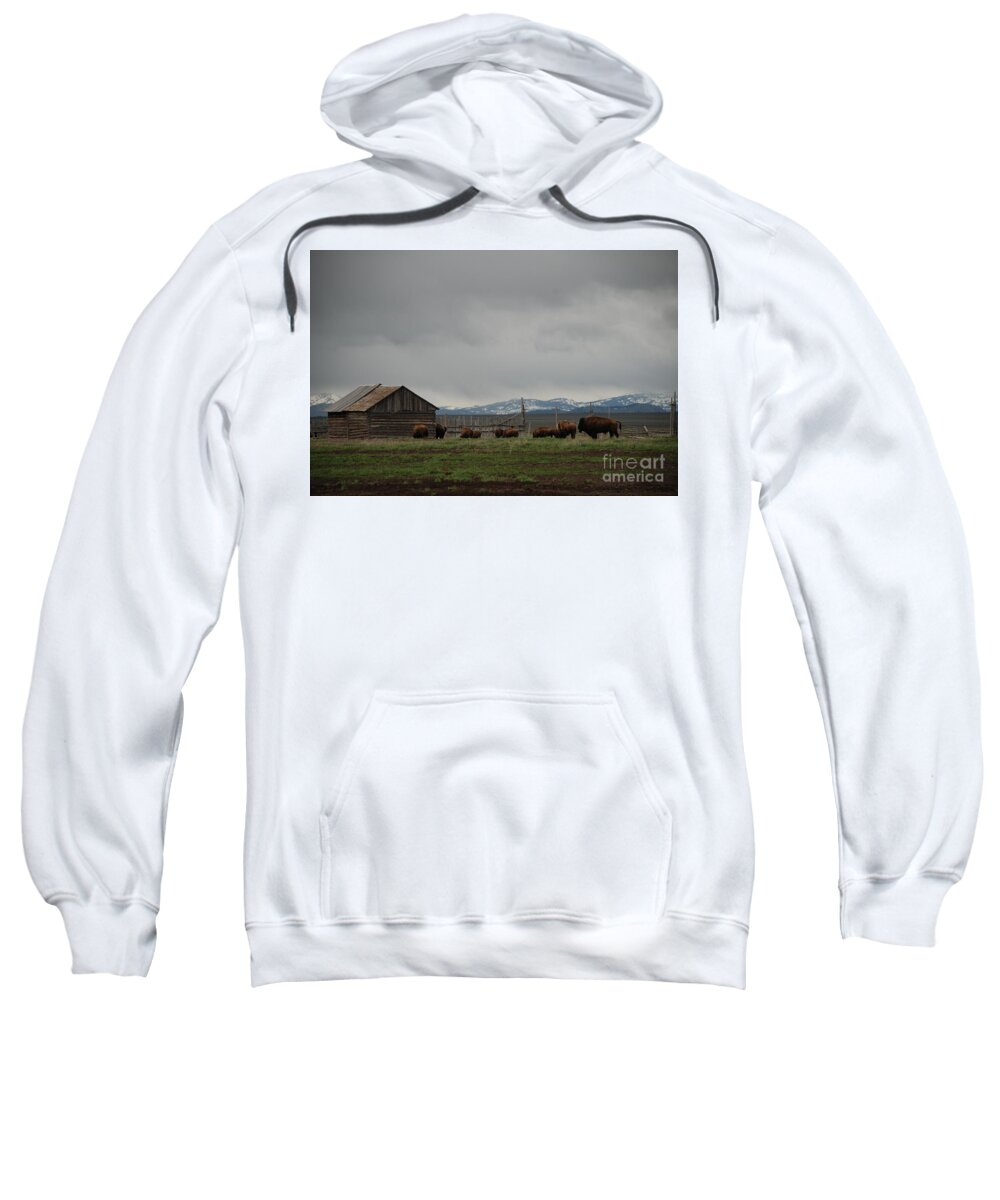 Buffalo Sweatshirt featuring the photograph Mormon Row Buffalo by Jim Goodman