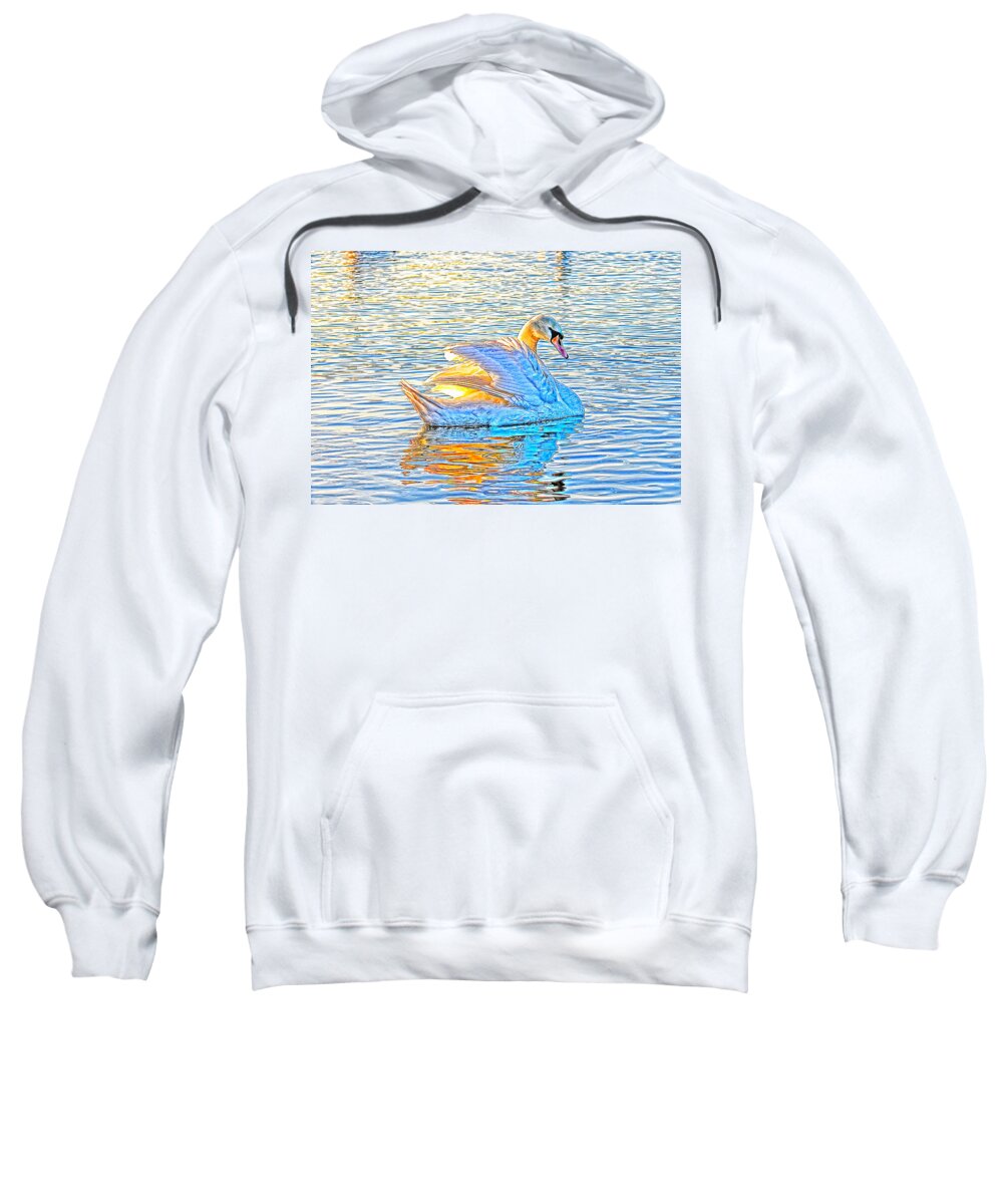 Artistic Sweatshirt featuring the photograph Multicolour Swan by Gouzel -