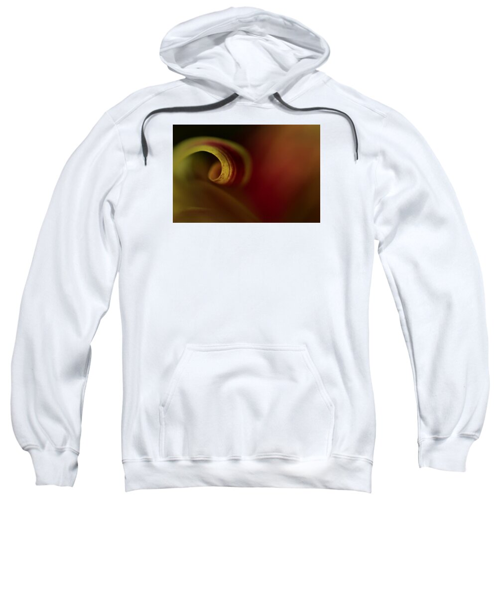 Mum Sweatshirt featuring the photograph Mum Curl Abstract by Bob Cournoyer