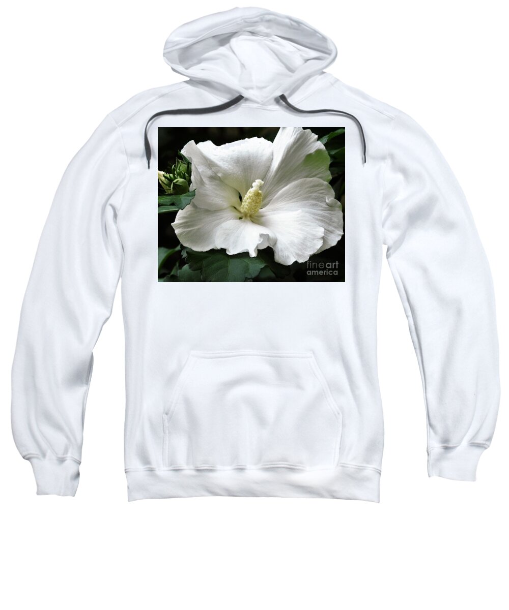 Flower Sweatshirt featuring the photograph Old Fashioned Flower by Jan Gelders