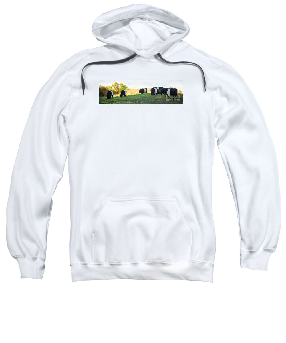 As You Like It Productions Sweatshirt featuring the photograph Oreos - Milk Included by Carol Lynn Coronios