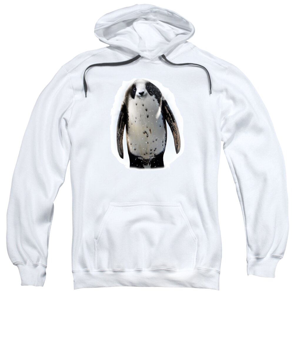 Penguin Sweatshirt featuring the photograph Panguin by Gravityx9 Designs