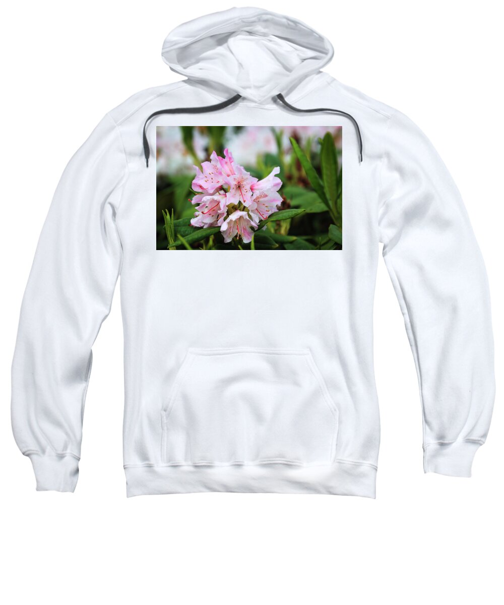 Flower Sweatshirt featuring the photograph Pink Rhodondendron spring flower by Tim Abeln