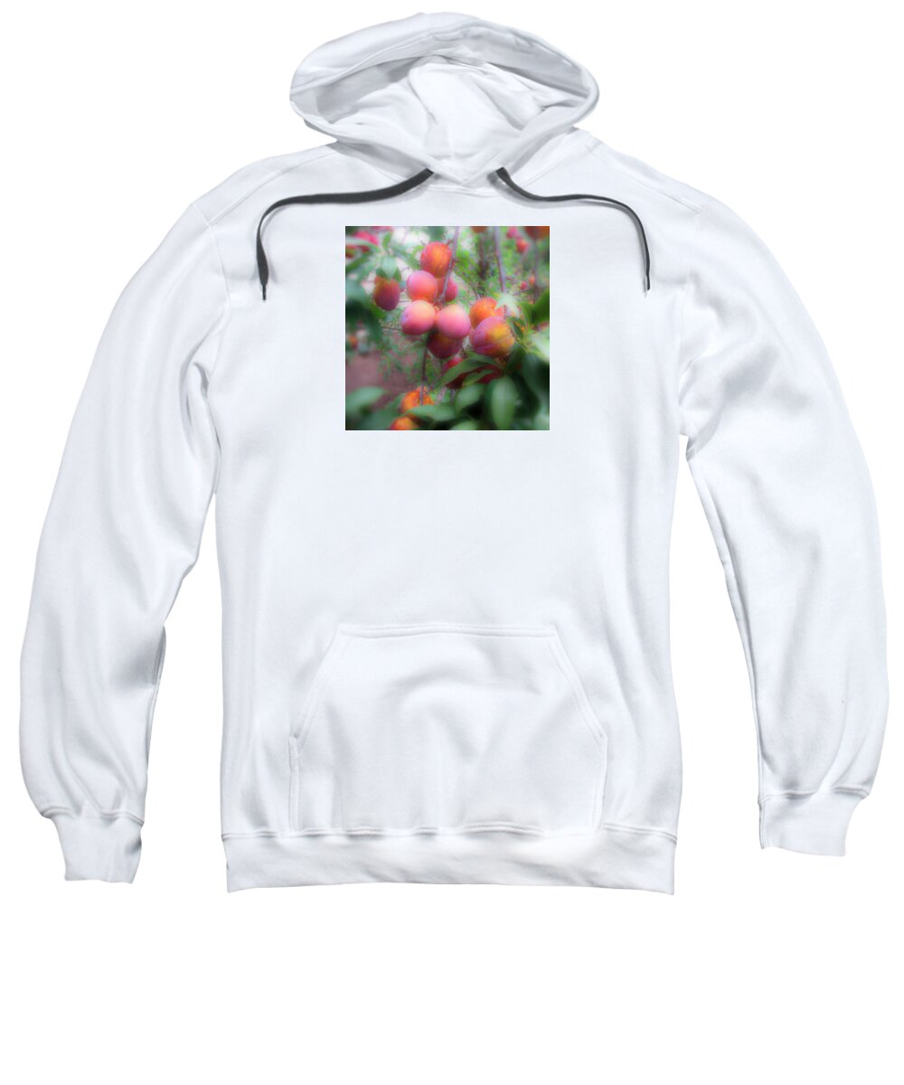 Fruit Sweatshirt featuring the photograph Plum Delight by Lora Fisher