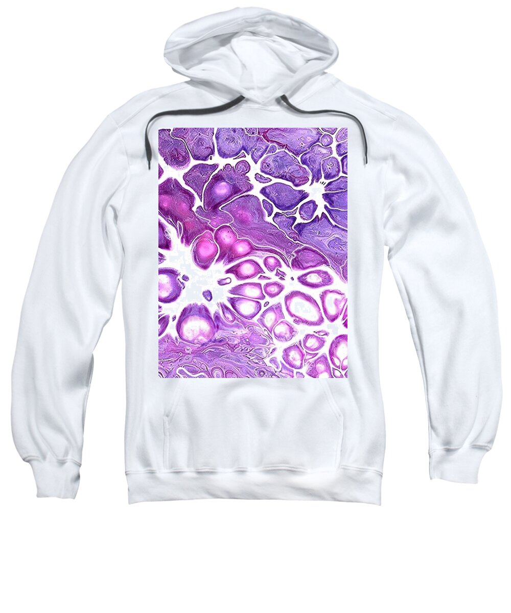 Acrylic Sweatshirt featuring the painting Pomegranate Seeds by Daniela Easter