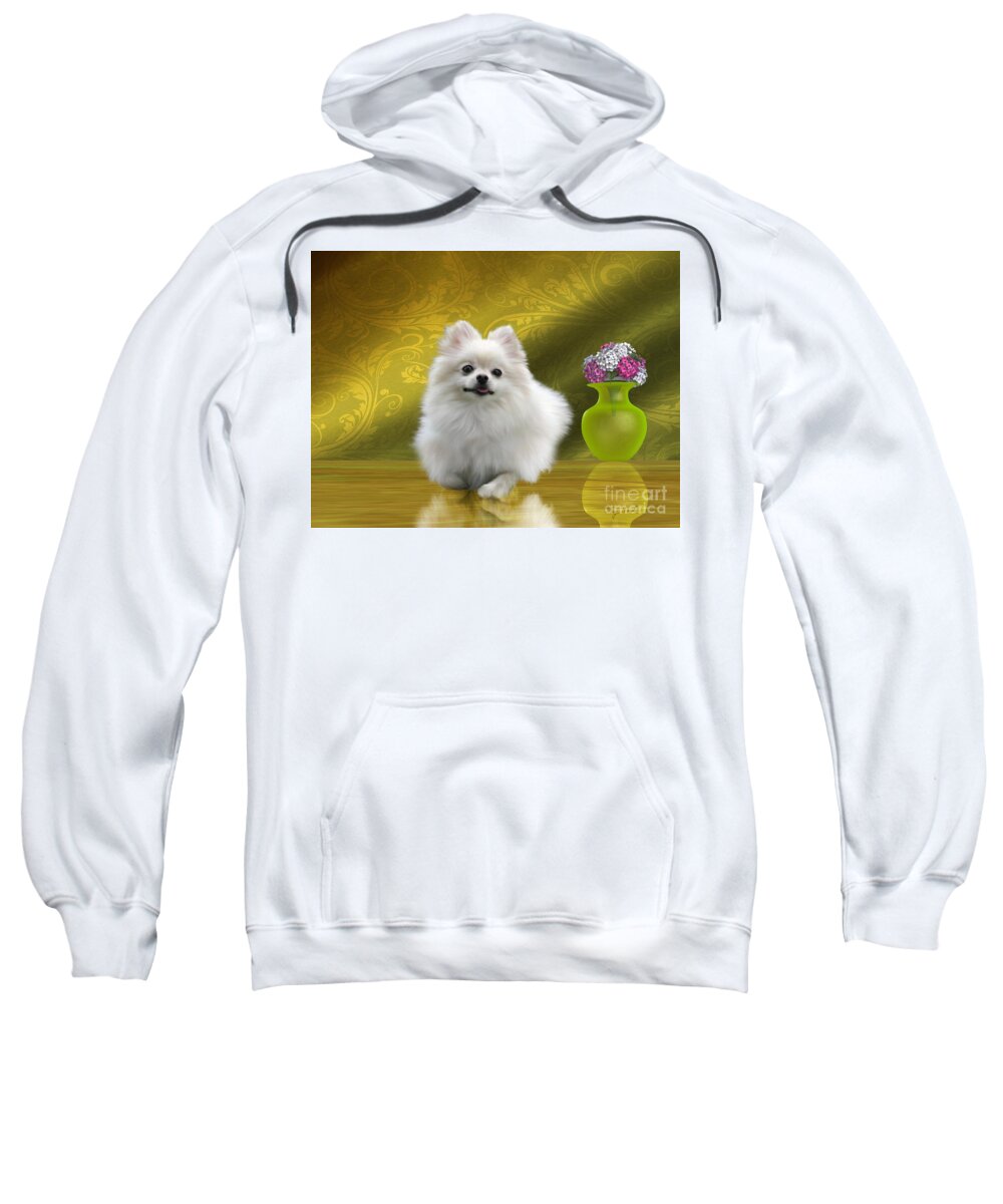 Pomeranian Sweatshirt featuring the painting Pomeranian Dog by Corey Ford