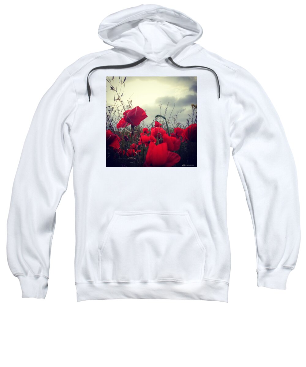 Poppies Sweatshirt featuring the photograph Poppies field and Clouds by Miguel Angel